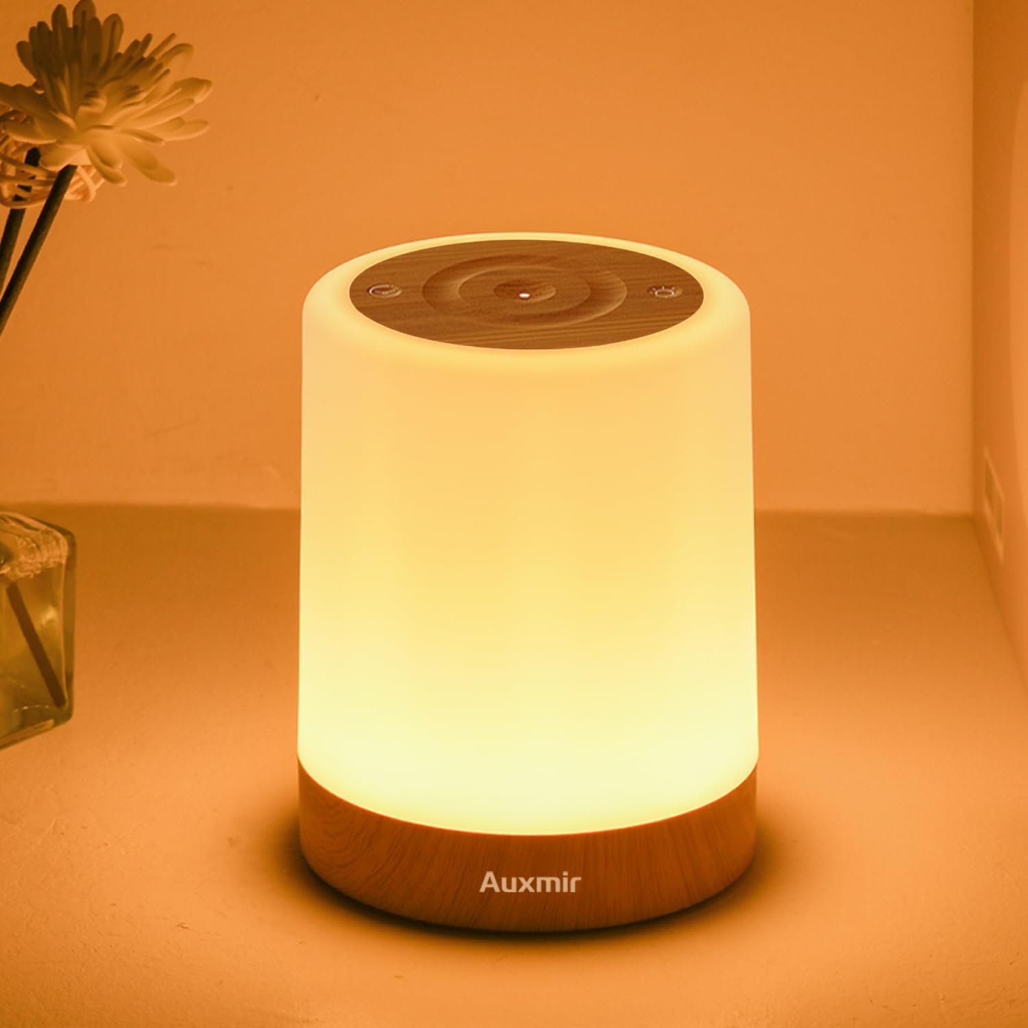 Auxmir Nursery Night Light, Rechargeable 256 RGB Lamp with Timer, Brown | 5 brightness levels, touch control, 1/2/3-hour auto-off, built-in hanging hook for breastfeeding, diaper changes and travel